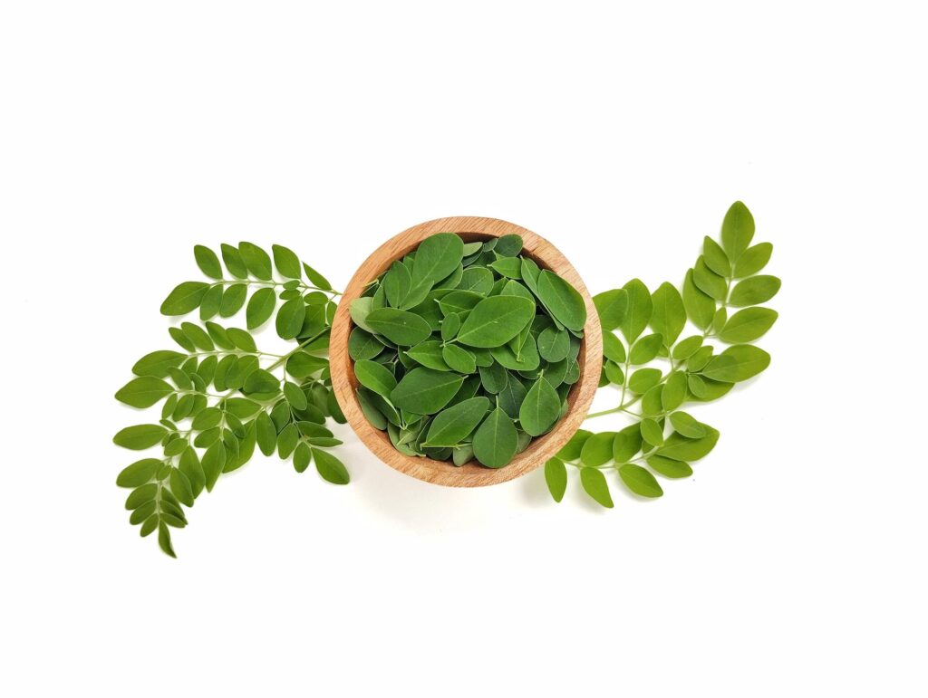 Morinda Powder moringa2